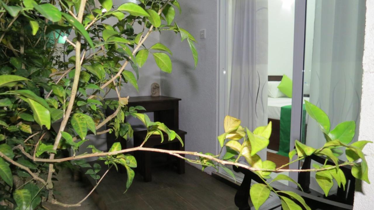 Senomaal Sigiri Resort Dambulla Eksteriør bilde